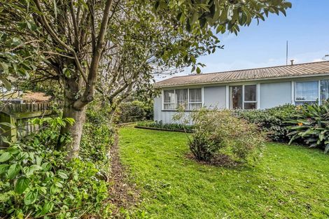 Photo of property in 1/117 Heads, Gonville, Wanganui, 4501
