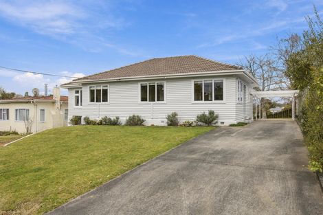 Photo of property in 6 Terrace Street, Putaruru, 3411