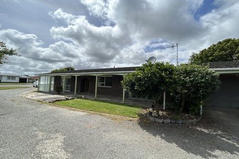 Photo of property in 30 Burn Street, Levin, 5510