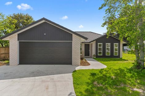 Photo of property in 46b Moir Street, Mangawhai, 0505