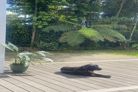 Photo of property in 1078 Scenic Drive North, Swanson, Auckland, 0816