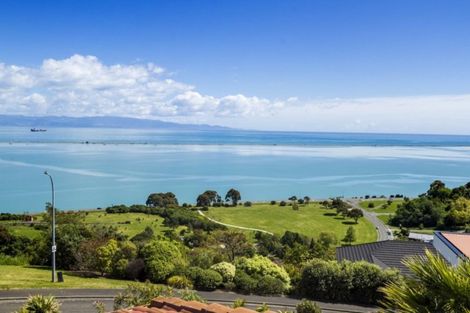 Photo of property in 19 Davies Drive, Atawhai, Nelson, 7010