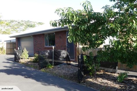 Photo of property in 44a Birdwood Avenue, Beckenham, Christchurch, 8023