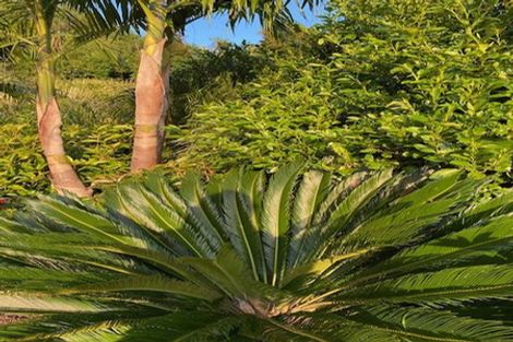 Photo of property in 25 Keridale Lane, Kerikeri, 0230