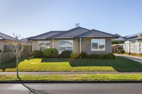 Photo of property in 146 Puhirake Crescent, Pyes Pa, Tauranga, 3112