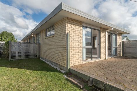 Photo of property in 50 Solomon Street, Brookfield, Tauranga, 3110