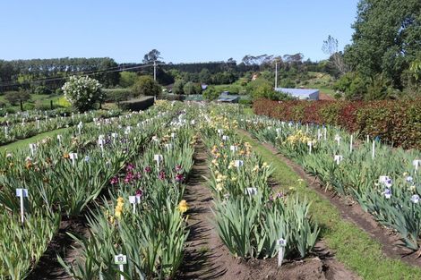 Photo of property in 138 Walford Road, Aongatete, Katikati, 3181