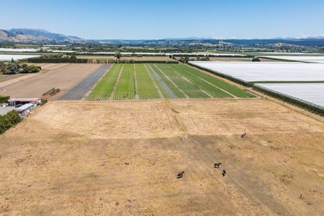 Photo of property in 177 Appleby Highway, Appleby, Richmond, 7081