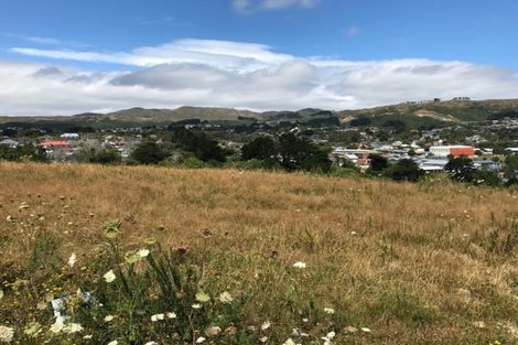 Photo of property in 174 John Burke Drive, Aotea, Porirua, 5024