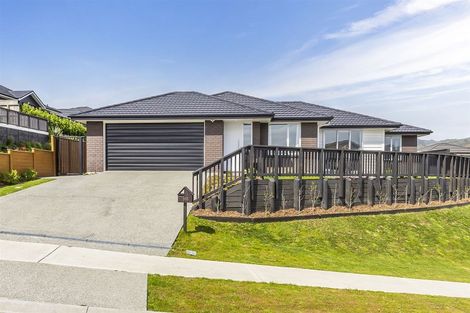 Photo of property in 113 John Burke Drive, Aotea, Porirua, 5024