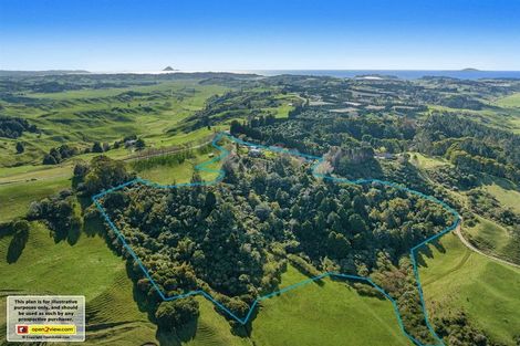 Photo of property in 681 Paerata Ridge Road, Waiotahe, Opotiki, 3198
