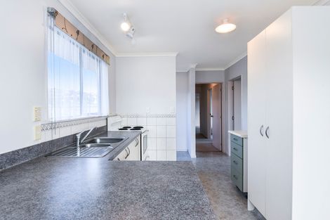 Photo of property in 50 Solomon Street, Brookfield, Tauranga, 3110