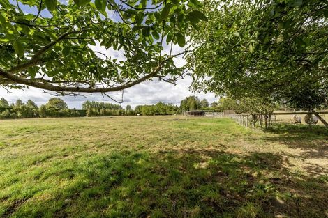 Photo of property in 120 Cox Street, Geraldine, 7930