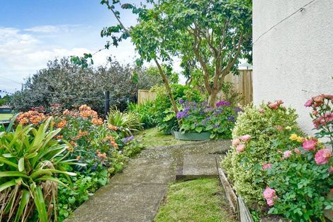 Photo of property in 259 Boucher Avenue, Te Puke, 3119