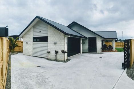 Photo of property in 53 Kahuparere Crescent, Pyes Pa, Tauranga, 3112