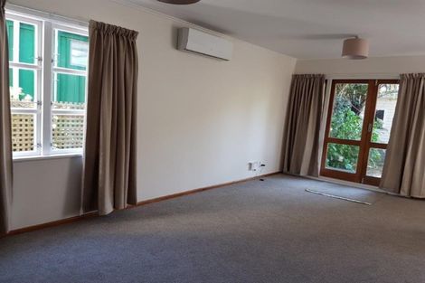 Photo of property in 117 Aro Street, Aro Valley, Wellington, 6021