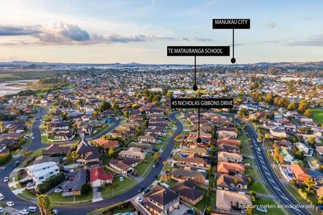 Photo of property in 45 Nicholas Gibbons Drive, Clendon Park, Auckland, 2103