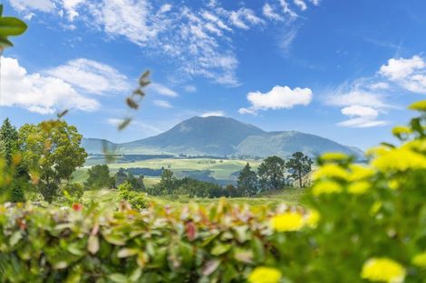 Photo of property in 159 Palmer Mill Road, Wairakei, Taupo, 3384