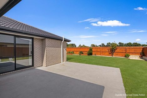 Photo of property in 45 Catalina Crescent, Burleigh, Blenheim, 7201