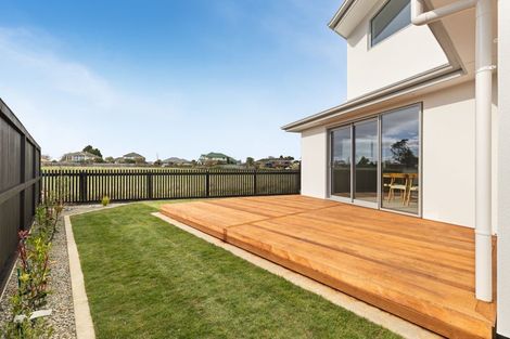 Photo of property in 10 Mangatainoka Lane, Awapuni, 4412
