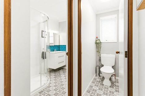 Photo of property in 20 Albert Street, Saint Clair, Dunedin, 9012