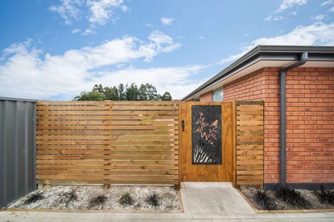 Photo of property in 4b Henderson Street, Mornington, Dunedin, 9011