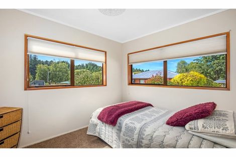 Photo of property in 19 Arrow Street, Naseby, 9396