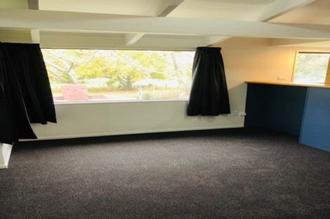 Photo of property in 372 Exelby Road, Burbush, Hamilton, 3288