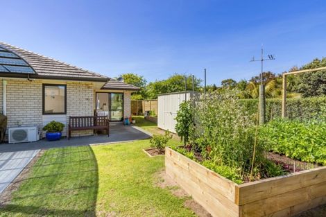 Photo of property in 3 Park Avenue, Mangawhai Heads, Mangawhai, 0505