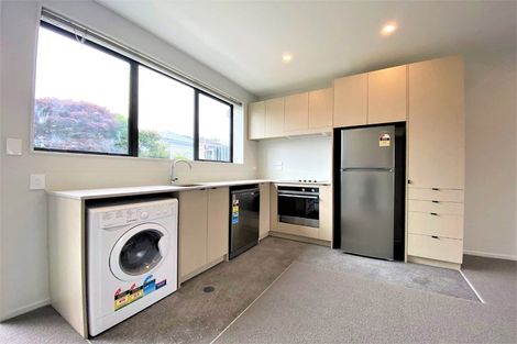 Photo of property in Aniva Terrace, 32 Ferguson Street, Newtown, Wellington, 6021