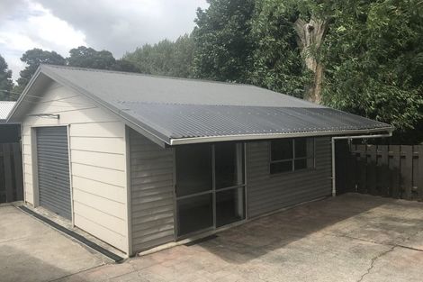 Photo of property in 141a Rimu Street, Maeroa, Hamilton, 3200