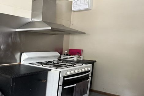 Photo of property in 60 Honiana Te Puni Street, Aro Valley, Wellington, 6021