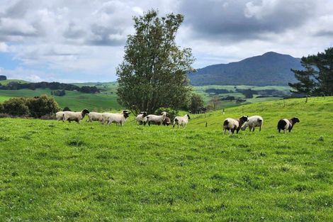 Photo of property in 697 Maungatawhiri Road, Raglan, 3295