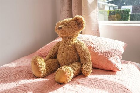 Photo of property in 107 Clarkin Road, Fairfield, Hamilton, 3214