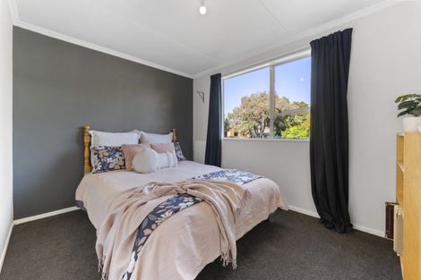Photo of property in 18 Antimony Crescent, Cromwell, 9310