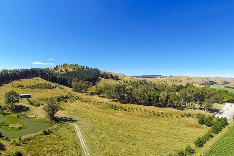 Photo of property in 65b Ngakoroa Road, Ormond, Gisborne, 4071