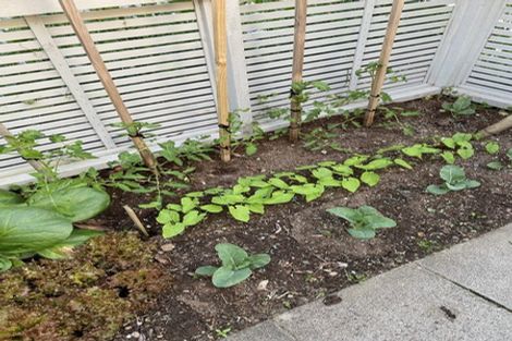 Photo of property in 2 Wakatere Place, Thames, 3500