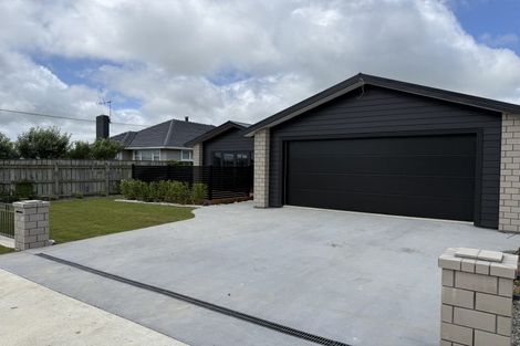 Photo of property in 26 Winchester Street, Levin, 5510