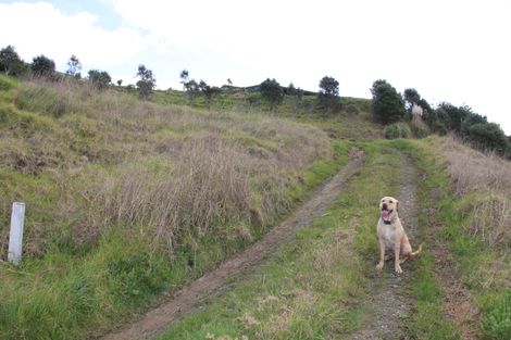 Photo of property in 286 Cove Road, Waipu, 0582