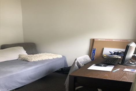 Photo of property in 66 Holloway Road, Aro Valley, Wellington, 6021