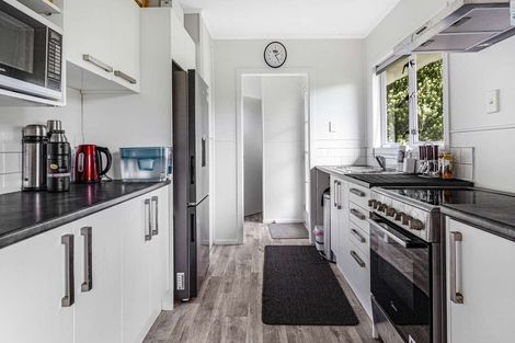 Photo of property in 12 Bittern Place, Henderson, Auckland, 0610