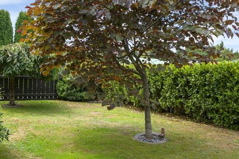 Photo of property in 1/20 Puia Street, Tauhara, Taupo, 3330