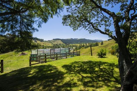 Photo of property in 74 Gaddums Hill Road, Outer Kaiti, Gisborne, 4010
