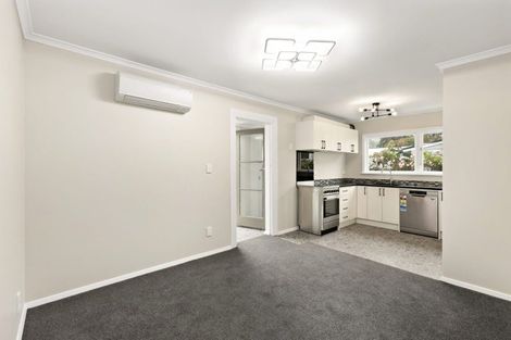 Photo of property in 125 Richmond Street, Petone, Lower Hutt, 5012