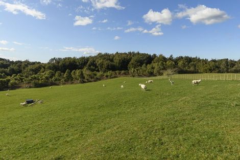 Photo of property in 771 Whakamarama Road, Whakamarama, Tauranga, 3179