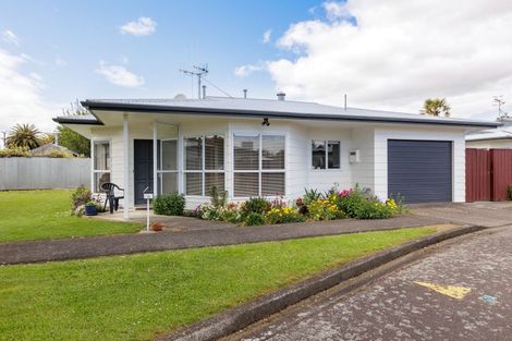 Photo of property in 9 Hughes Court, Pahiatua, 4910