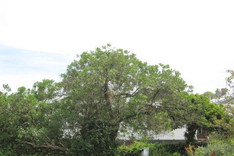 Photo of property in 180 Crawford Road, Kaiti, Gisborne, 4010