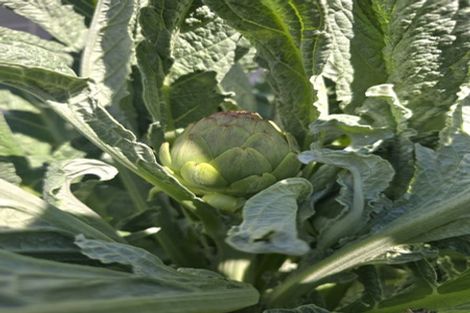 Photo of property in 86 Scotland Street, Picton, 7220