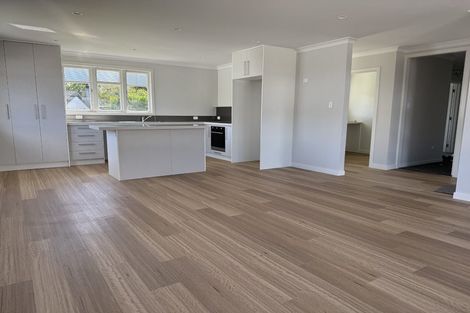 Photo of property in 19 Litchfield Street, Redwoodtown, Blenheim, 7201