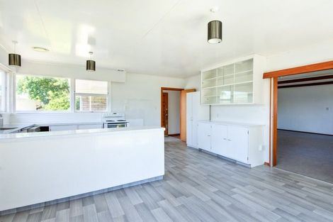 Photo of property in 24 Leefield Street, Blenheim, 7201